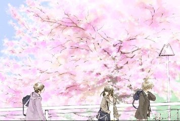 四叶草研究所网站免费入口